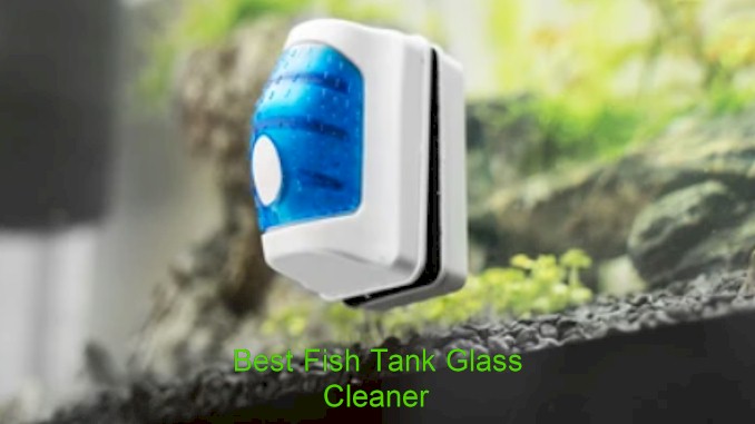 best fish tank glass cleaner